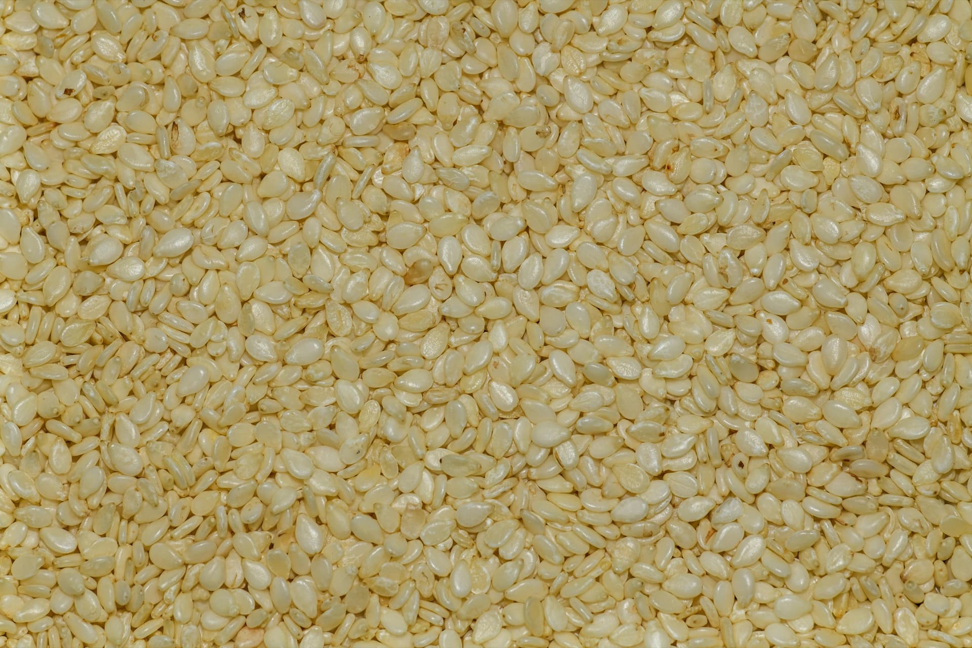 Sesame seeds