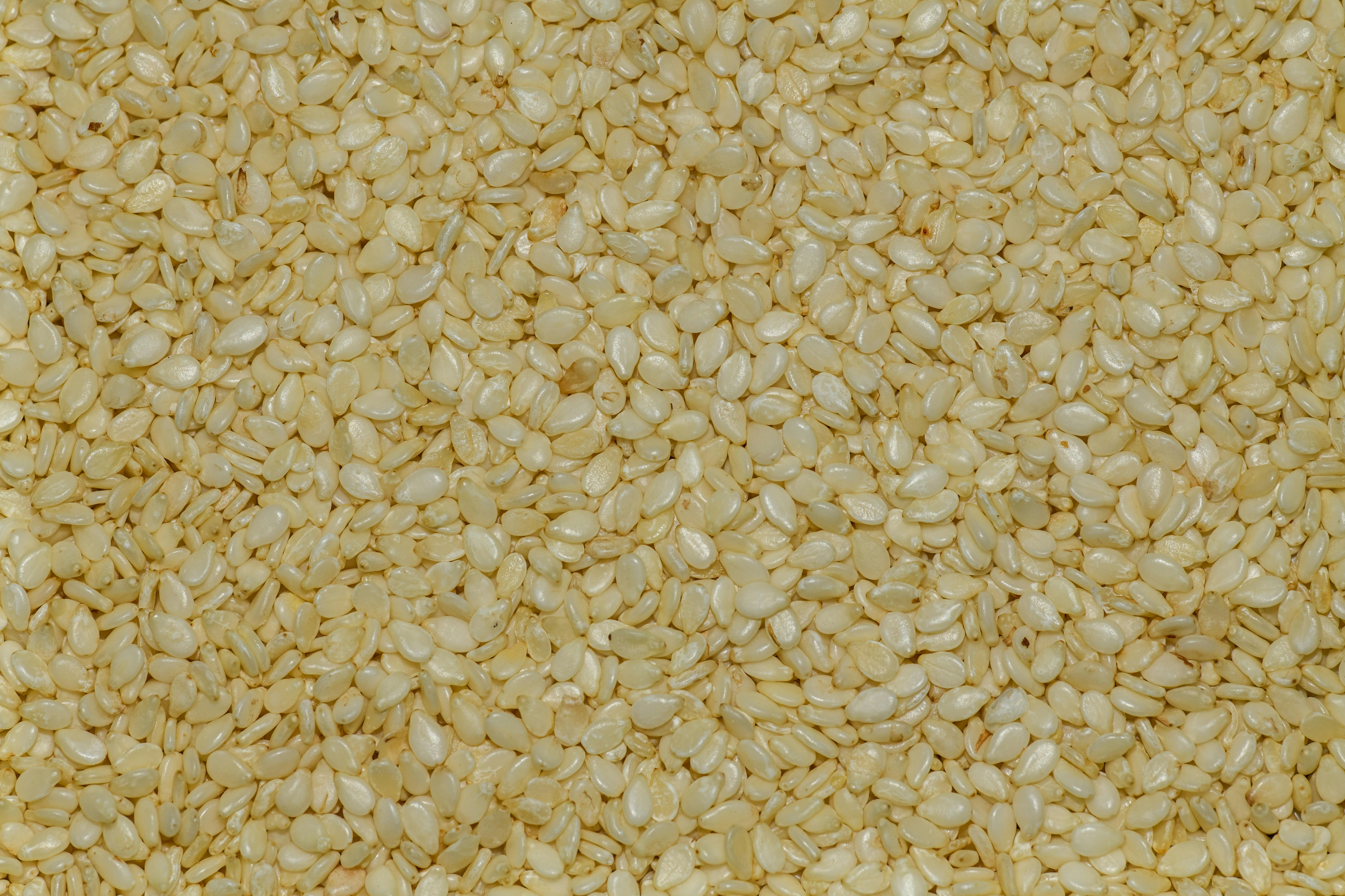 Sesame Seeds